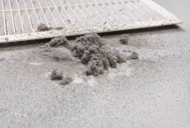 Best Air Duct Cleaning Near Me  in Shoh, IL