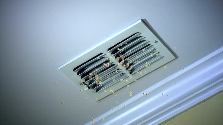 Best Affordable Duct Cleaning Services  in Shoh, IL