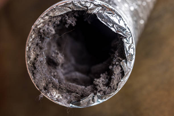 Best Duct Cleaning for Homes  in Shoh, IL