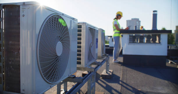 Best Air Duct Mold Removal  in Shoh, IL