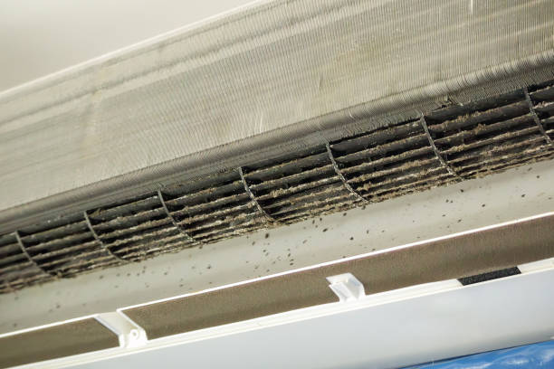Best Emergency Air Duct Cleaning  in Shoh, IL